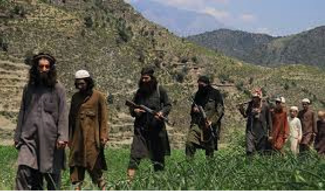 Hundreds of Daesh Rebels  Emerge in Kunar: Police Chief